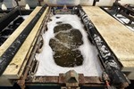 _Unknown / Other - Semi-Automatic Acid Zinc Plating Line