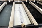 _Unknown / Other - Semi-Automatic Acid Zinc Plating Line