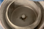 Canning - Centrifugal Dryer