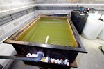 _Unknown / Other - Effluent Treatment Plant