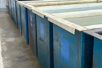 _Unknown / Other - 8ft Mild Steel Tanks - 17 Available