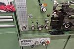 Weiler - condor